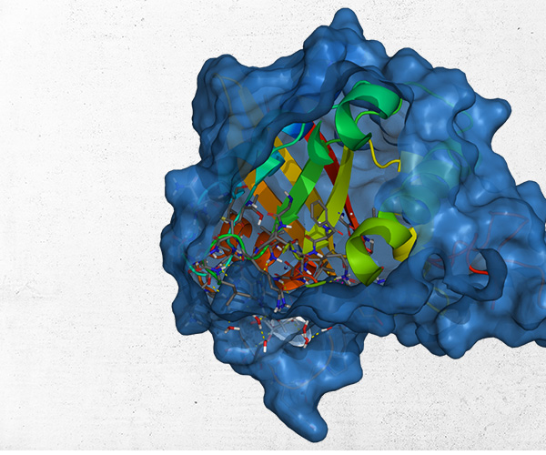 Homology modeling with the Schrödinger Biologics Suite