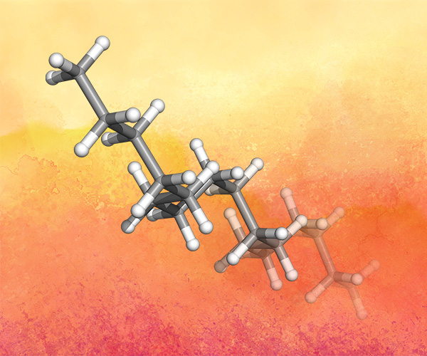 Chinese: Driving the development of bio-based polymer materials with molecular simulations | 分子模拟技术推进生物基聚合物材料的发展