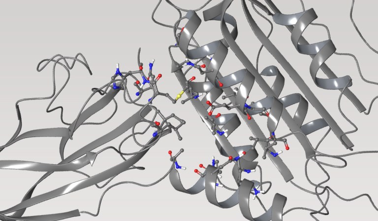 Case-study_MALT1-inhibitor