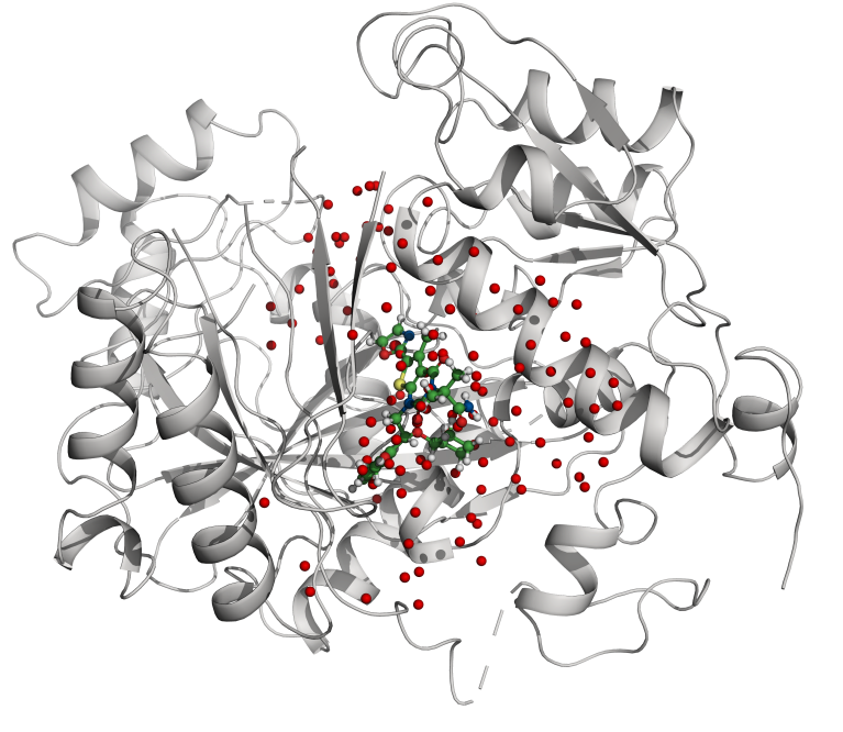 Water matters: Enhancing early drug discovery with insights from water energetics