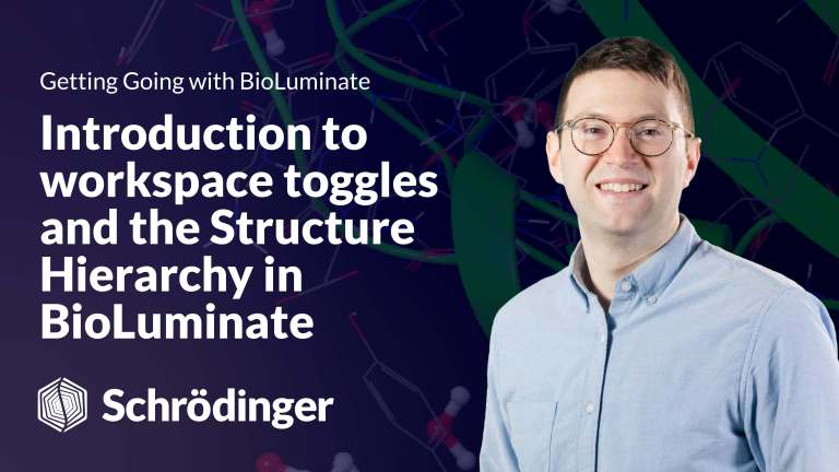 Introduction to Workspace Toggles and the Structure Hierarchy in BioLuminate