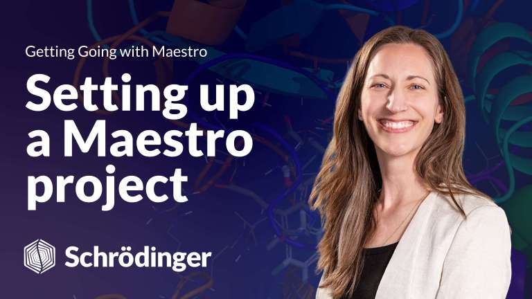 Setting up a Maestro Project