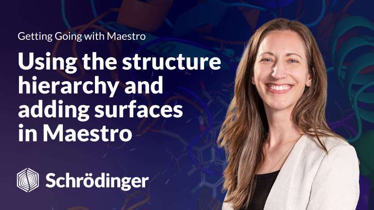 Using the Structure Hierarchy and Adding Surfaces in Maestro